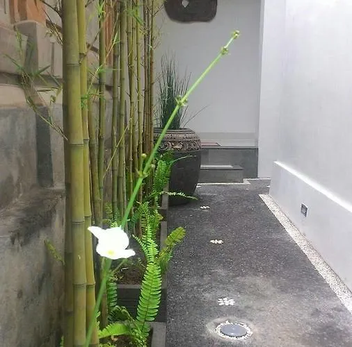 民宿 三赢民宿 乌布